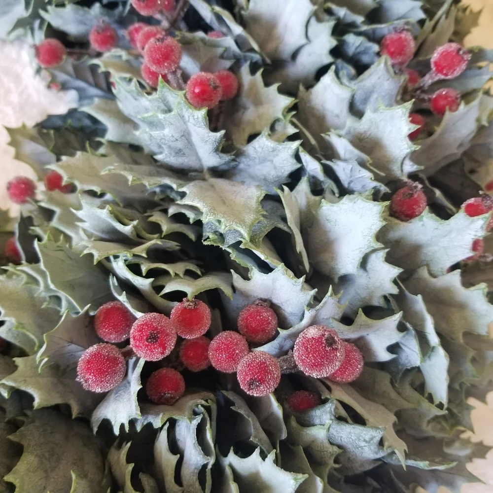 New Frost Holly Berry Wreath